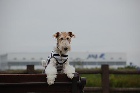 DSC_0438A.JPG