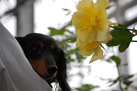 DSC_0965.JPG