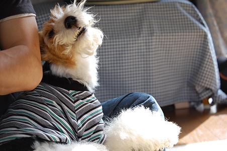 DSC_0041A.JPG