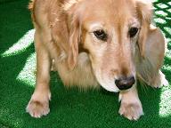 見ないでちょうだい！！