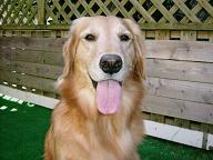 すっきり～～！！