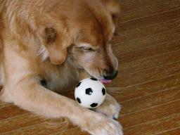 楽しいんだもん♪