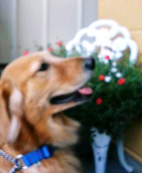 ミル子です(^^♪