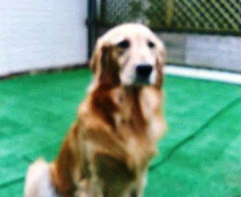 ミル子タン～～。