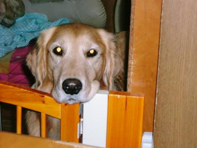 ちょうだいな！！