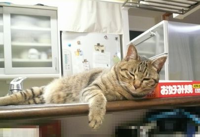 ねむいんじゃ.jpg