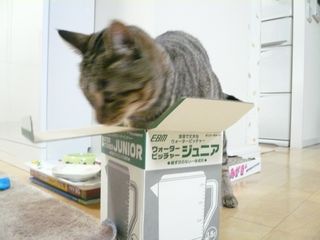 よっこらしょ.jpg