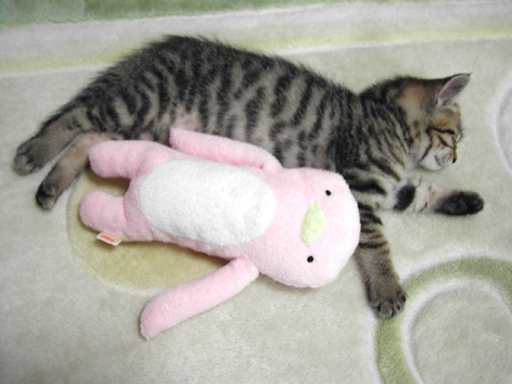 生後2ヶ月半