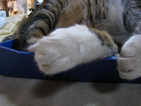 20100911-3.jpg