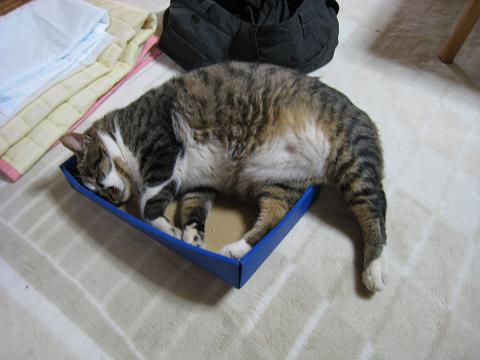 20100911-5.jpg