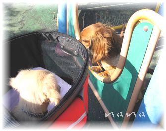 nana33.jpg