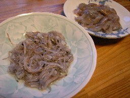 20080322hotaruika.JPG