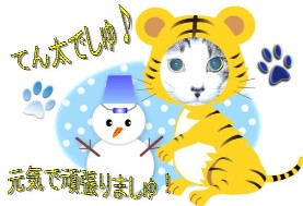 てん太　寅.JPG