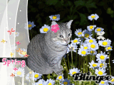 414672624_1626391.gif