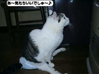 20110223_143434.jpg