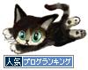 猫人気ランキング.JPG