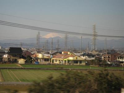 IMG_1176.jpg
