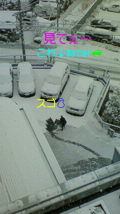 スゴイ積雪