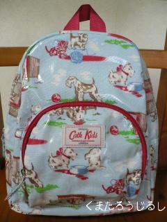 cath dog/mini rucksack