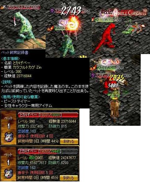 カラフルトカゲZin