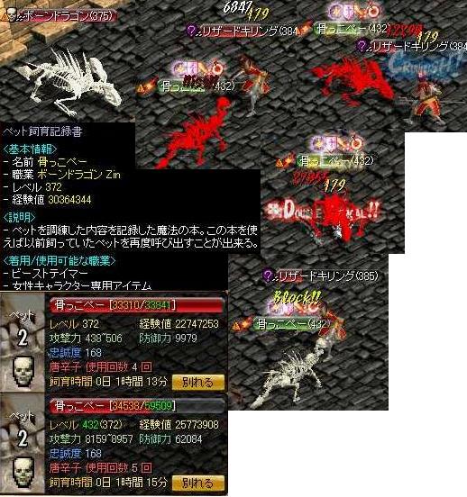 ボーンドラゴンZin