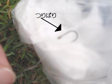 14.JPG