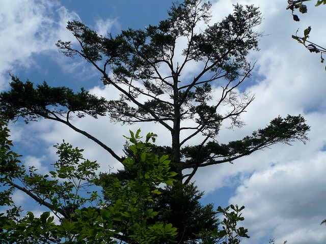 青空