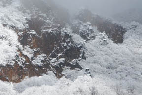 20071116_345360_edited-1-1.jpg