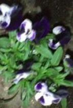 2009-04-07 23:20:14