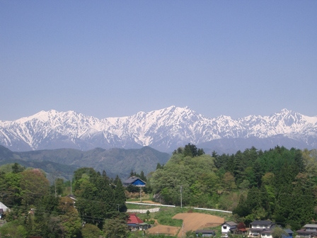 圃場より北アルプスをのぞむ