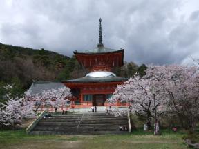 さくら善光寺雲上殿.jpg