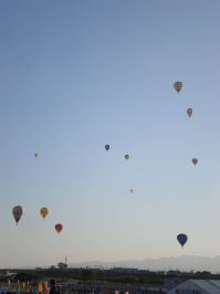 PB040316　夕方.JPG