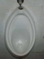 P2030708　楕円.JPG
