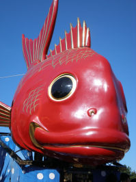PB040246　鯛.JPG
