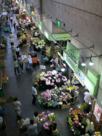P8291615　花屋.JPG