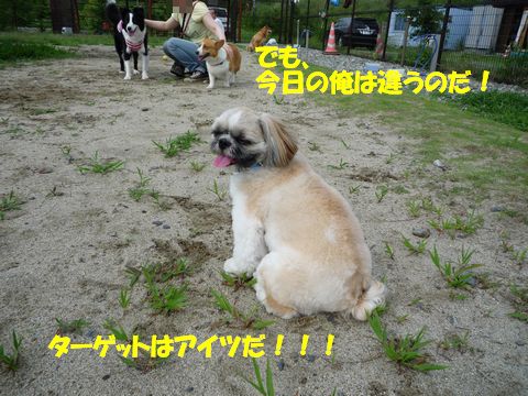 ターゲット、確認