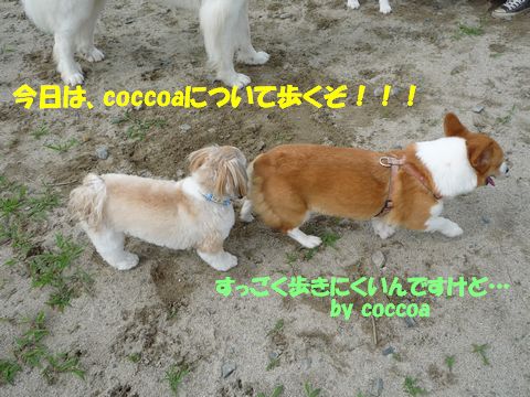 電車ごっこ