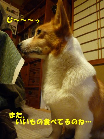 じ～～～っ！