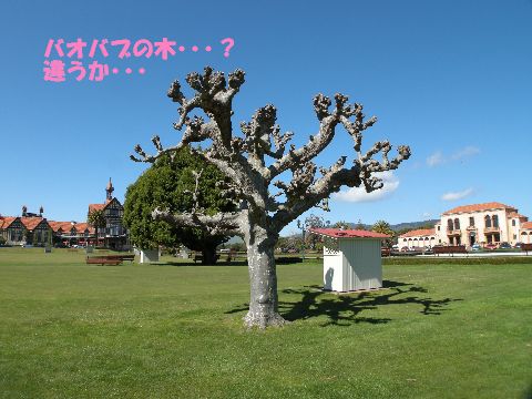 ロトルア観光3