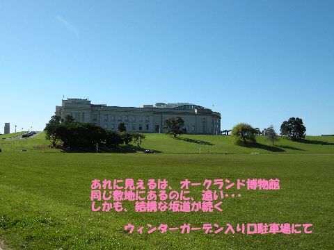 オークランドドメイン