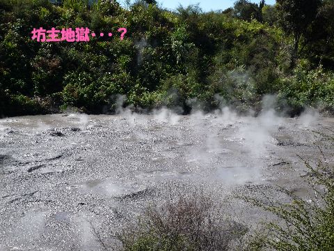 坊主地獄
