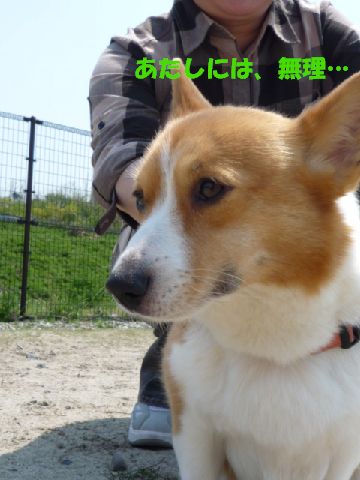 あたしには、無理…