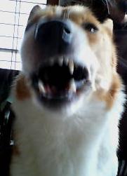 怖い