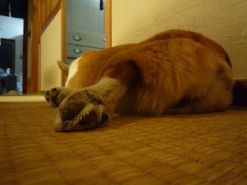 どーせあたしなんて…