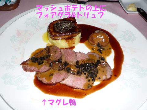 鴨