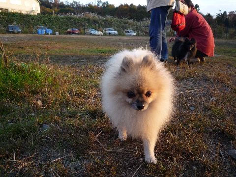 はじめまして・・・かな？