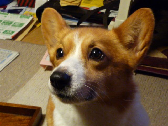 わたしの分ある？