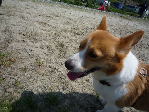 お天気いいね♪