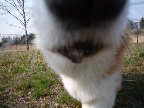わたしは