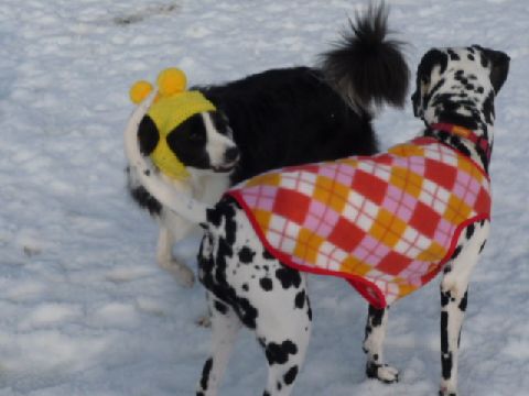 お互い似合ってるわねぇ